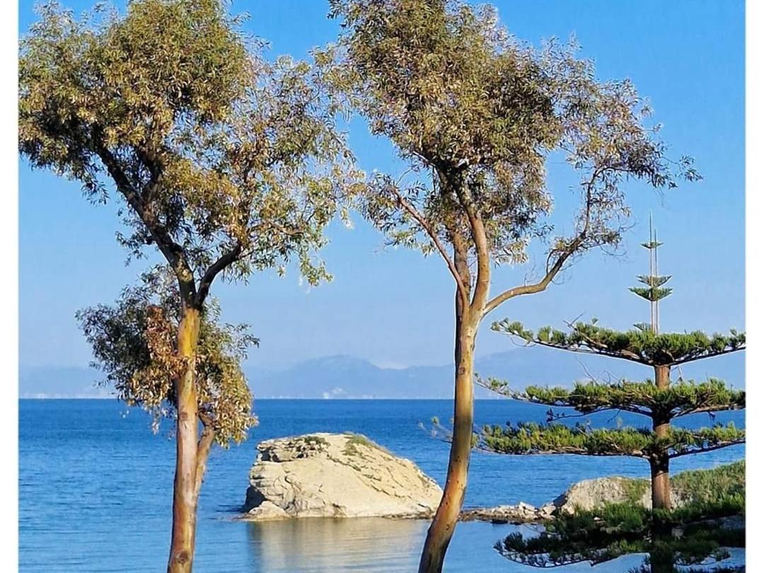 Villa Eden Agropoli Esterno foto